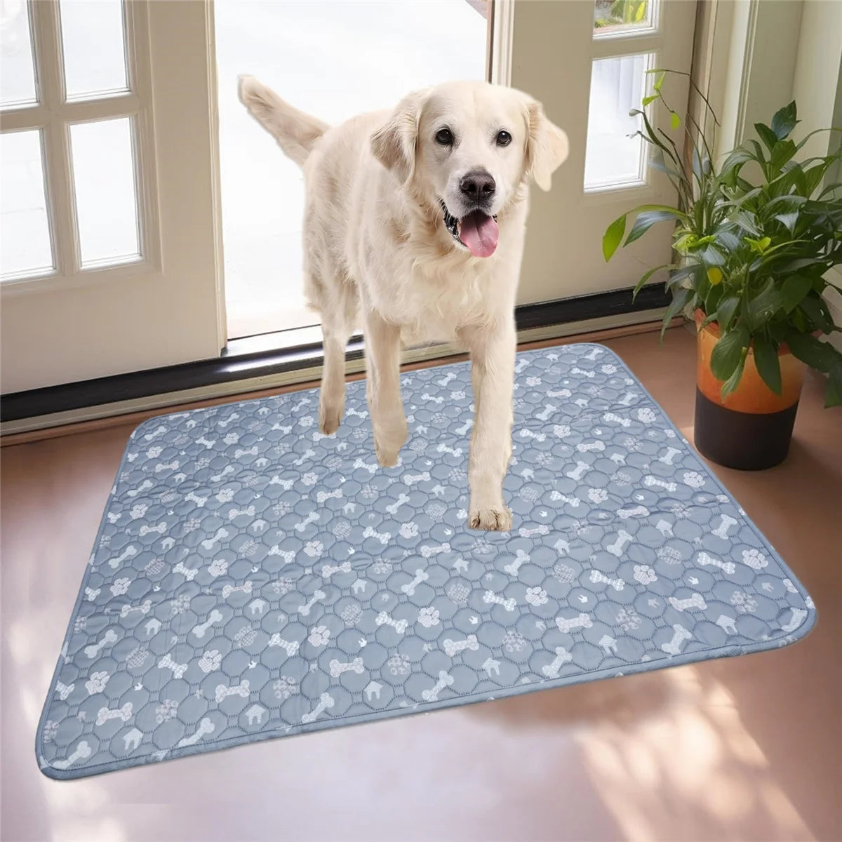 Tapis Réutilisable Imperméable pour Chien