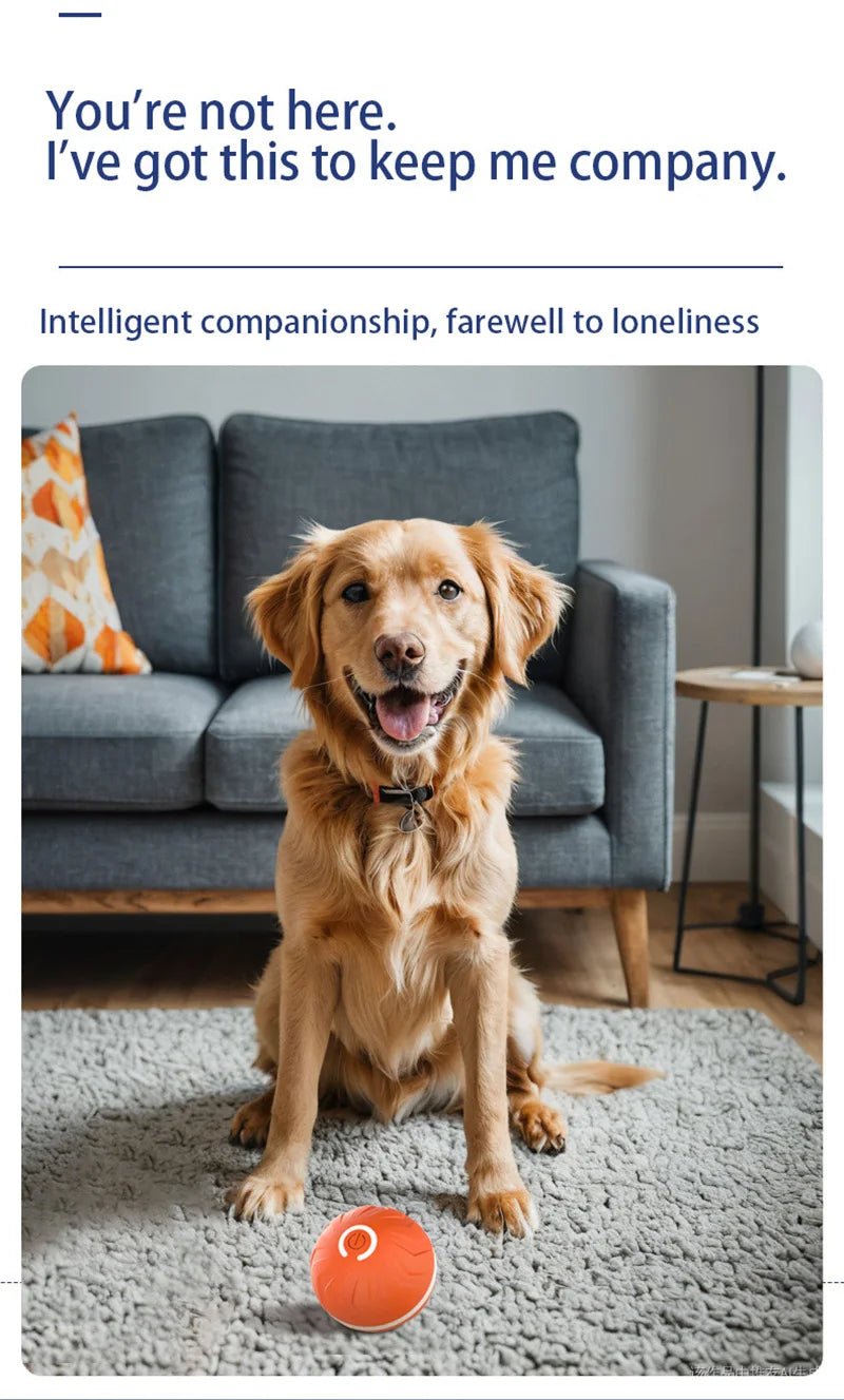 Balle intelligente à rebond pour chien | Jouet interactif 4h d’autonomie