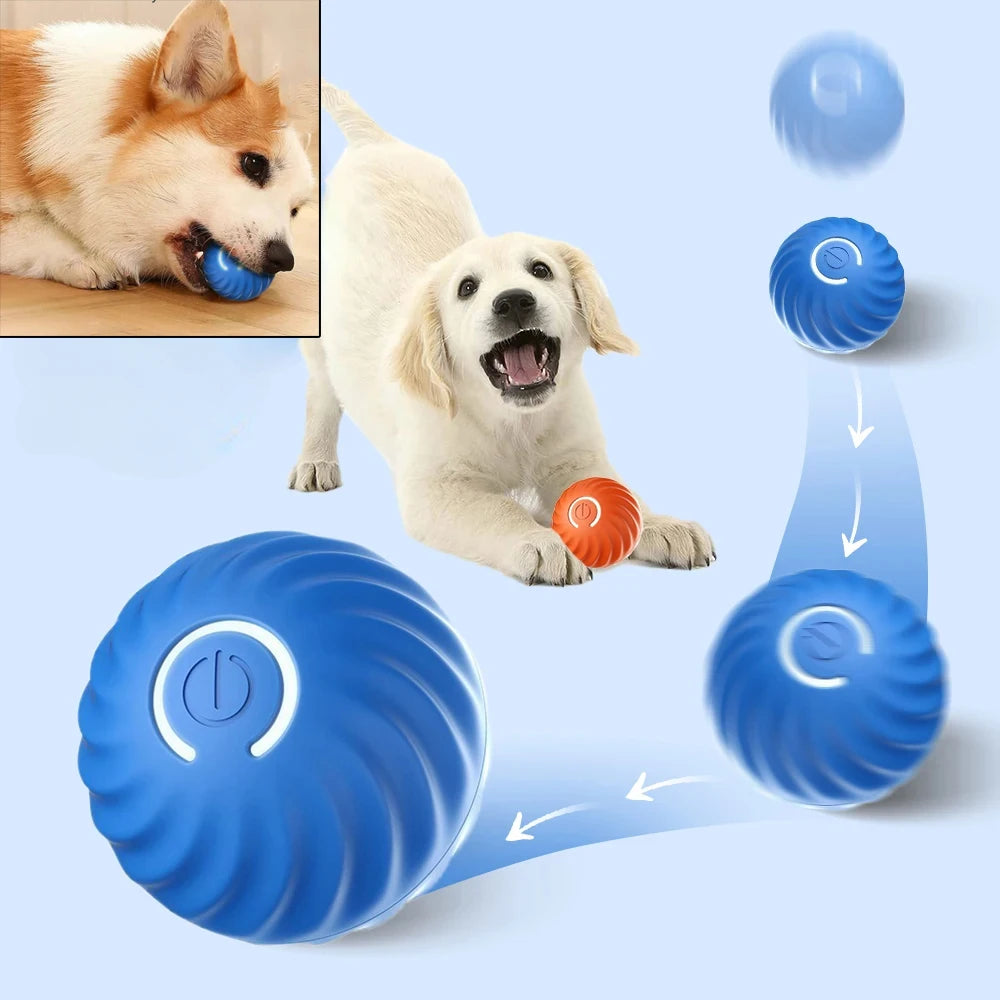 Balle roulante automatique pour chien USB - Jouet intelligent à mâcher