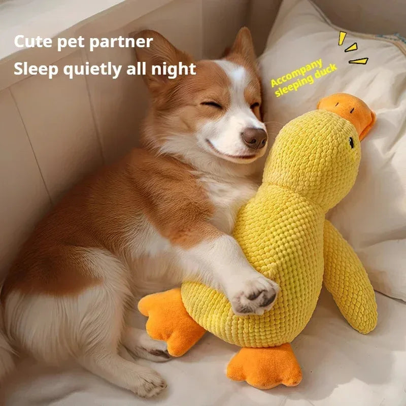 Jouet en peluche canard apaisant pour chiot grinçant