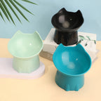 Bol surélevé WhiskerWare pour chien – Anti-renversement