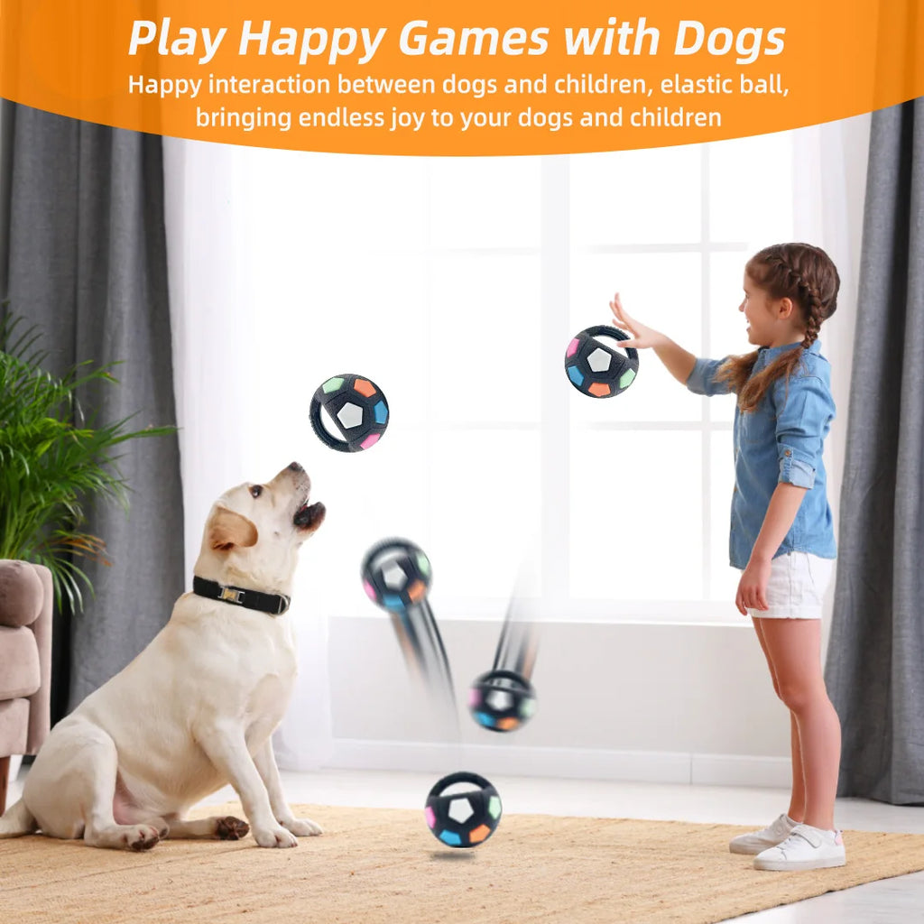 Jouets balle de tennis et football pour chien grinçant