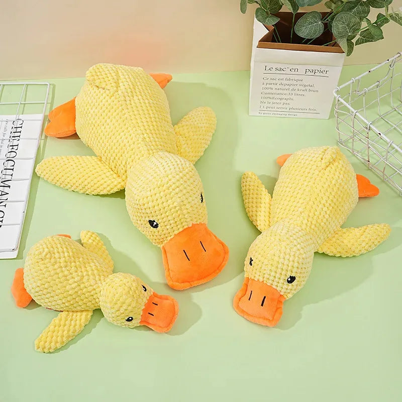 Jouet en peluche canard apaisant pour chiot grinçant