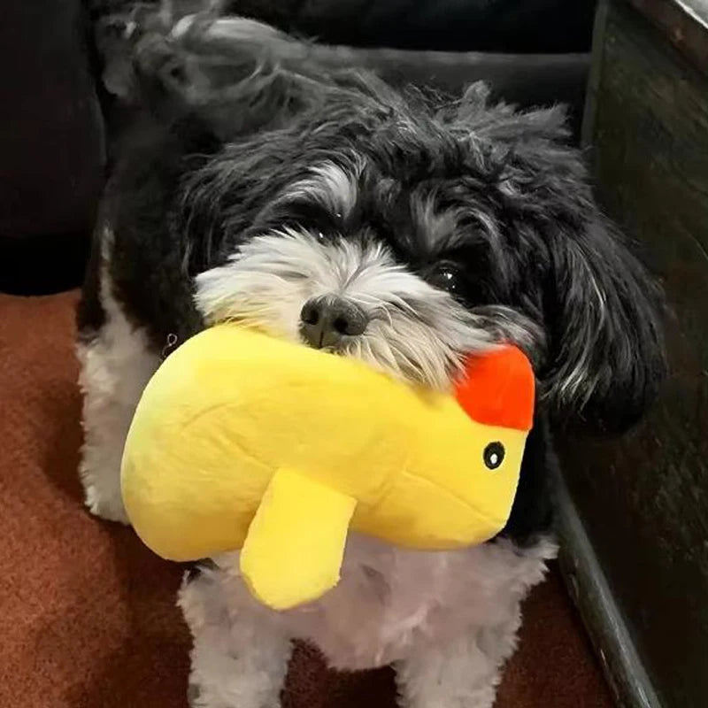 Ensemble 7 jouets vocaux en peluche pour chiots et chiens – fruits et légumes