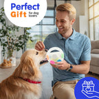 Jouets balle de tennis et football pour chien grinçant
