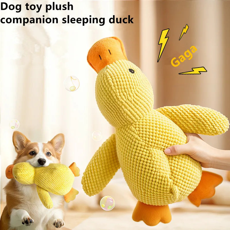 Jouet en peluche canard apaisant pour chiot grinçant