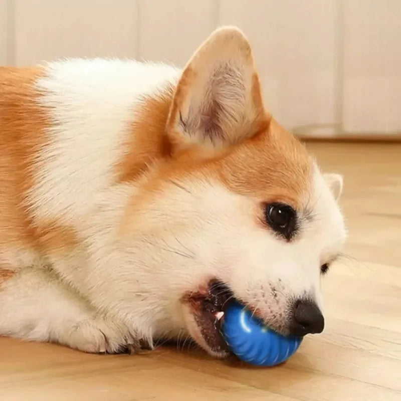 Balle roulante automatique pour chien USB - Jouet intelligent à mâcher