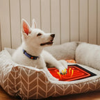 Coussin Chauffant USB pour Chien – Tapis Chauffant Lavable d’Hiver