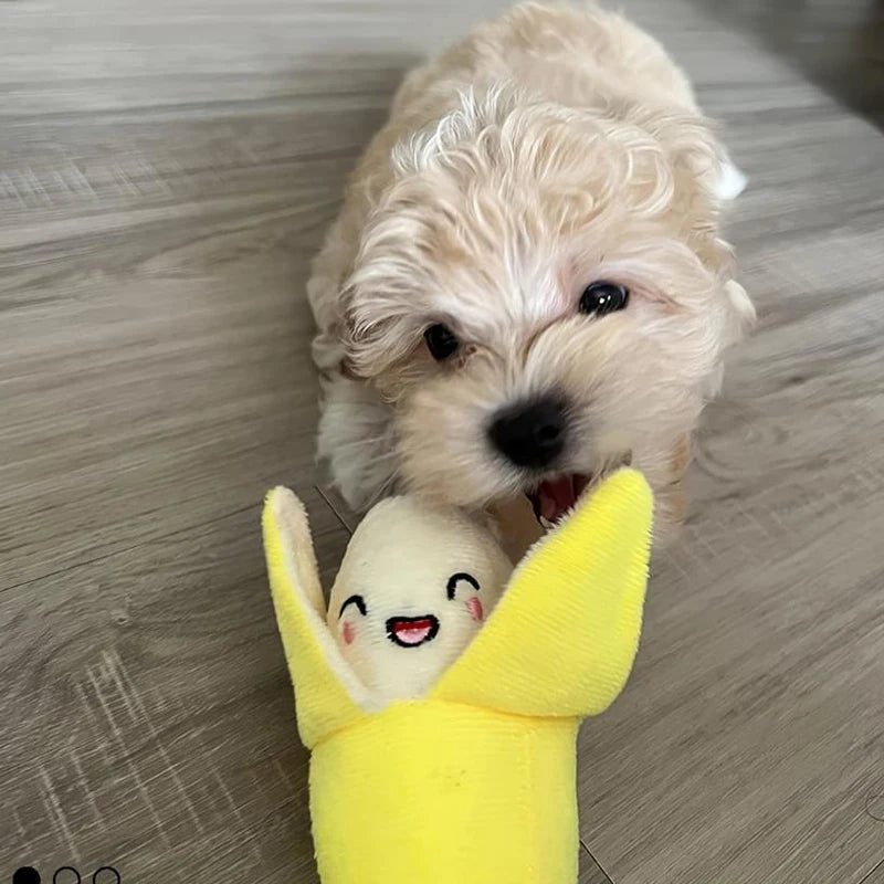 Ensemble 7 jouets vocaux en peluche pour chiots et chiens – fruits et légumes