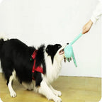 Jouet Pieuvre Anti-Démolition pour Chien 🐙 - Peluche Sonore Résistante