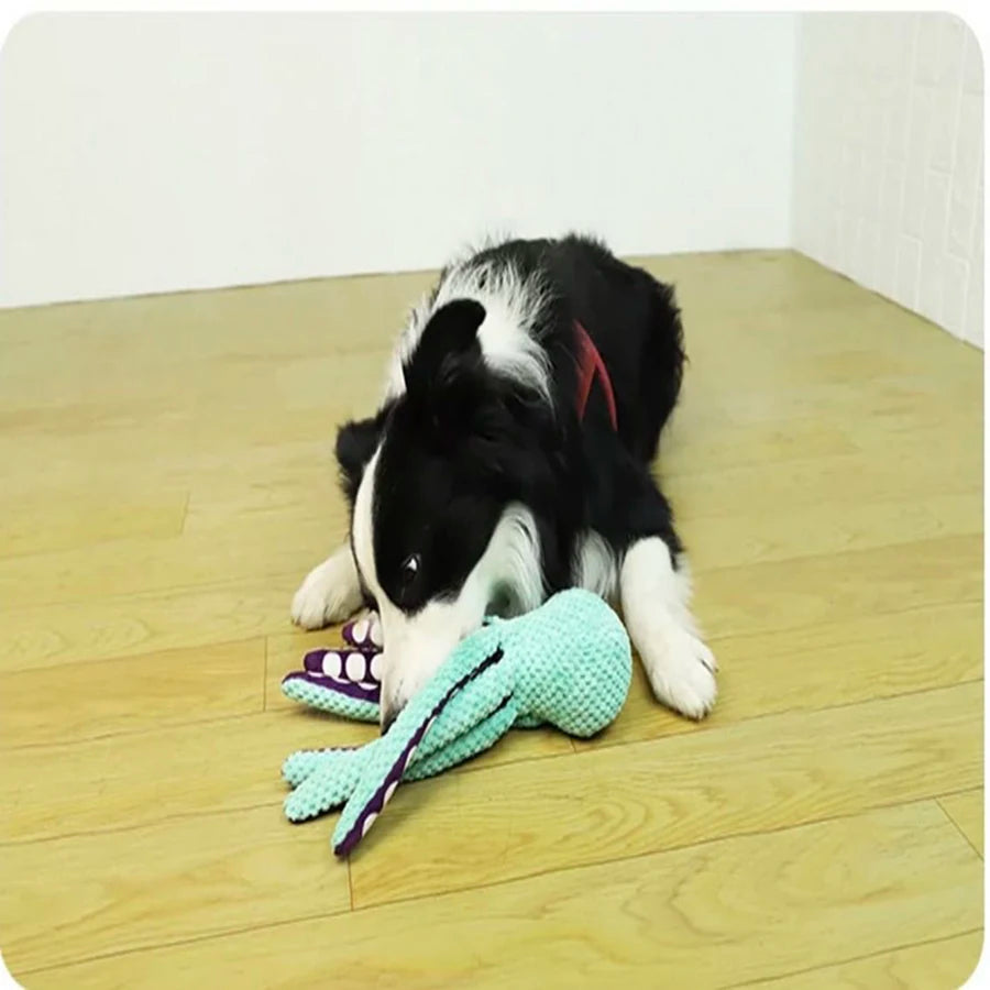 Jouet Pieuvre Anti-Démolition pour Chien 🐙 - Peluche Sonore Résistante