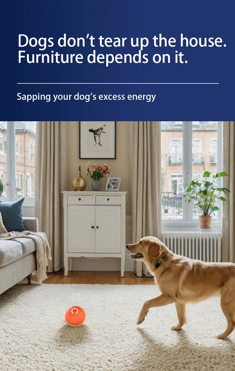 Balle intelligente à rebond pour chien | Jouet interactif 4h d’autonomie
