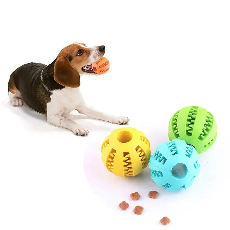 Balle à Friandises pour Chien 🐶 - Jouet Résistant et Nettoyant
