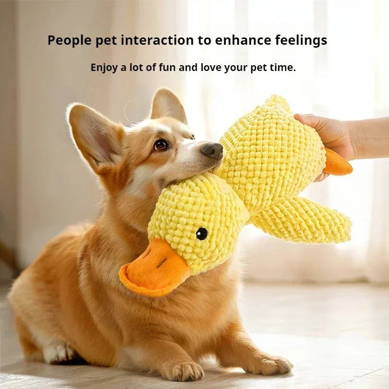Jouet en peluche canard apaisant pour chiot grinçant