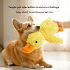 Jouet en peluche canard apaisant pour chiot grinçant