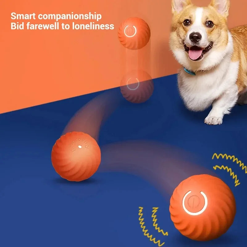 Balle roulante automatique pour chien USB - Jouet intelligent à mâcher