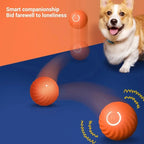 Balle roulante automatique pour chien USB - Jouet intelligent à mâcher