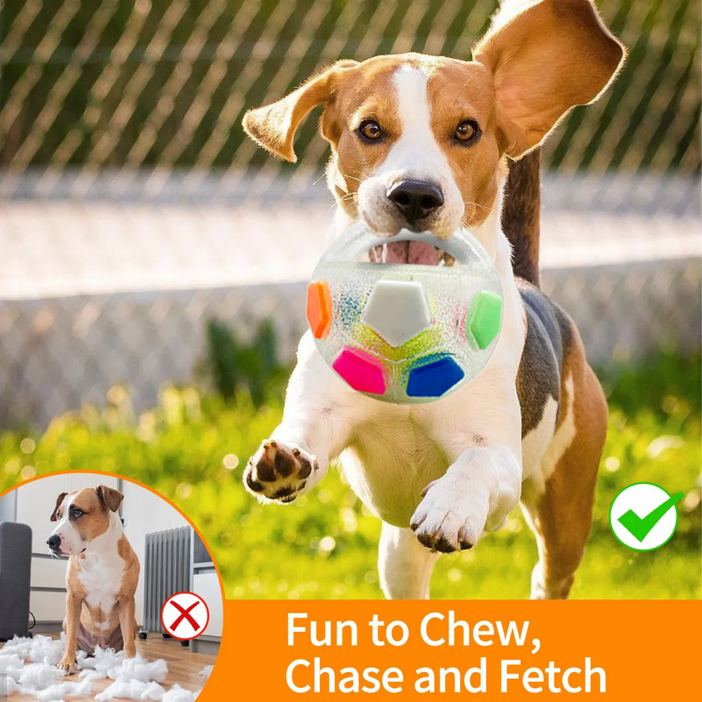 Jouets balle de tennis et football pour chien grinçant