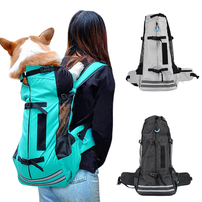 Sac à Dos Imperméable pour Chien – Transport Confortable