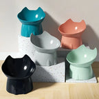 Bol surélevé WhiskerWare pour chien – Anti-renversement